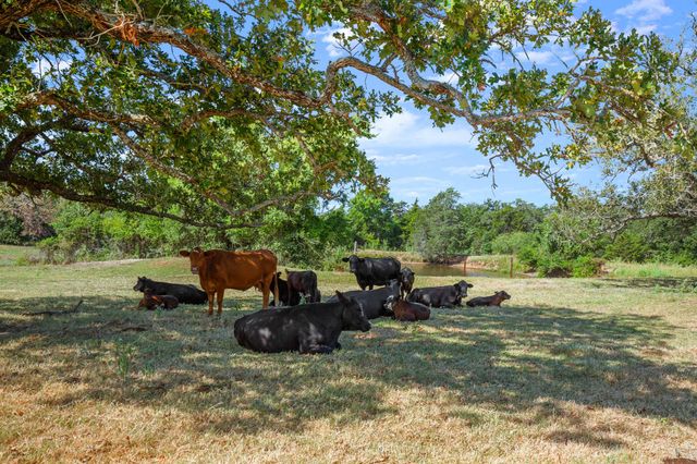 1099 Private Road 1061, Paige, TX 78659