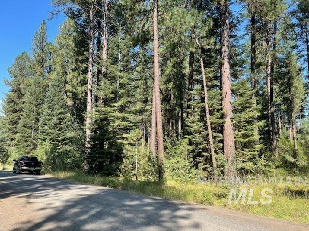 14 Black Bear Subdivision, New Meadows, ID 83654 photo 1