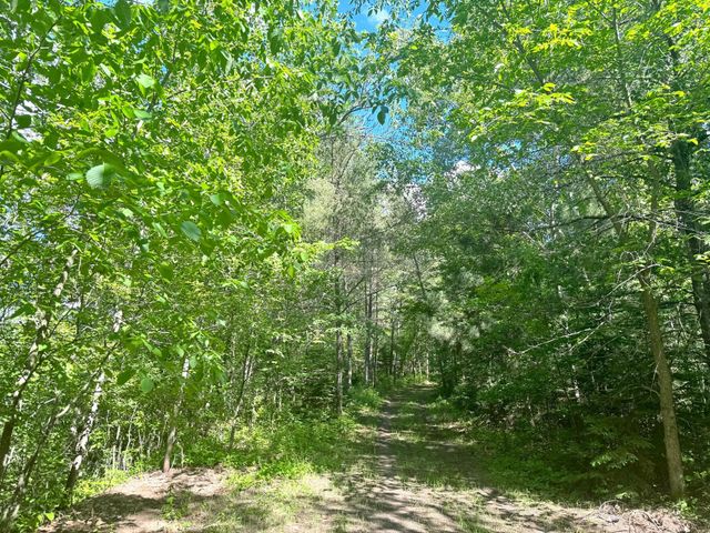 Parcel C 24th Ave SW, Pine River Twp, MN 56435