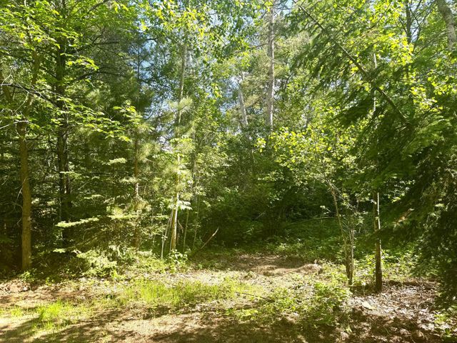 Parcel C 24th Ave SW, Pine River Twp, MN 56435