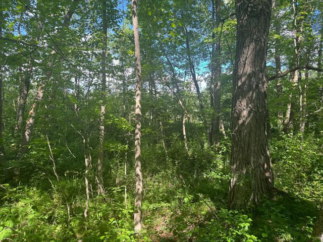 Parcel C 24th Ave SW, Pine River Twp, MN 56435