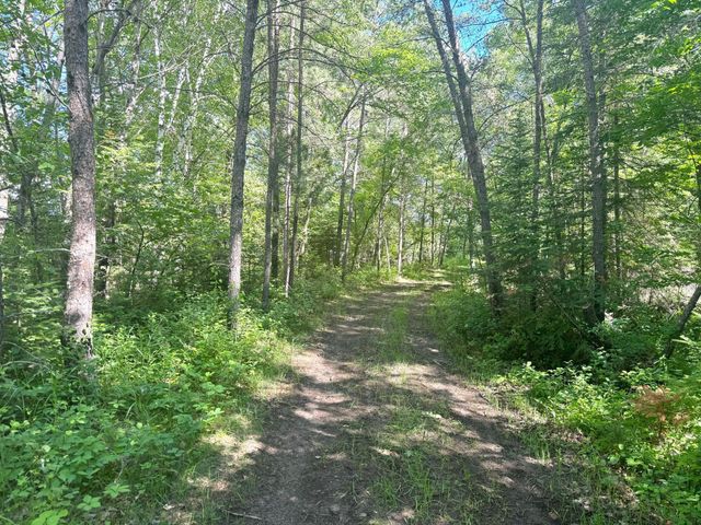 Parcel C 24th Ave SW, Pine River Twp, MN 56435