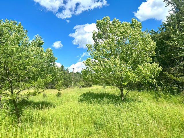 Parcel C 24th Ave SW, Pine River Twp, MN 56435