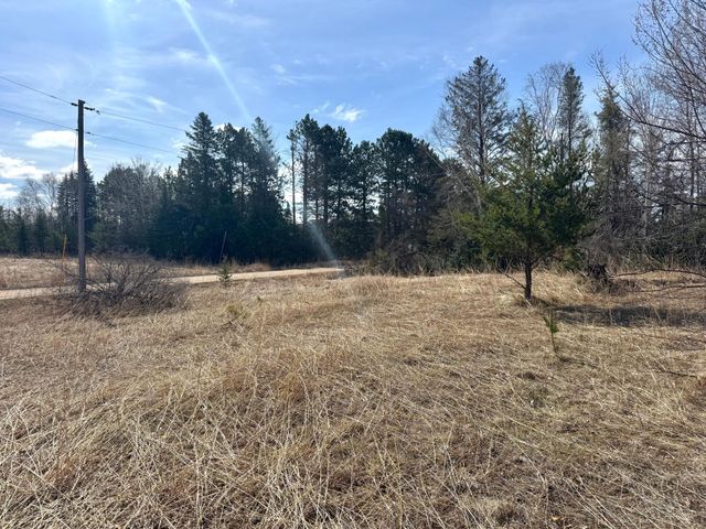 Parcel C 24th Ave SW, Pine River Twp, MN 56435