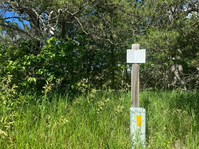 Parcel C 24th Ave SW, Pine River Twp, MN 56435