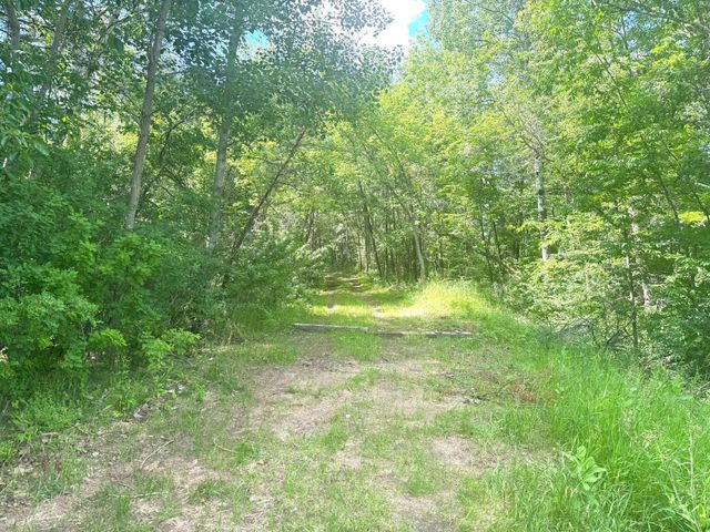 Parcel C 24th Ave SW, Pine River Twp, MN 56435