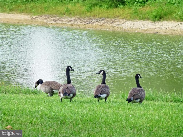 78 WHISTLING DUCK DR, Bridgeville, DE 19933