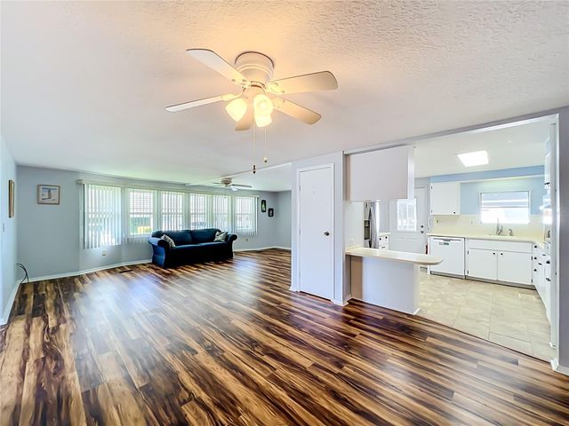 1925 BROOKSIDE DRIVE, Mount Dora, FL 32757