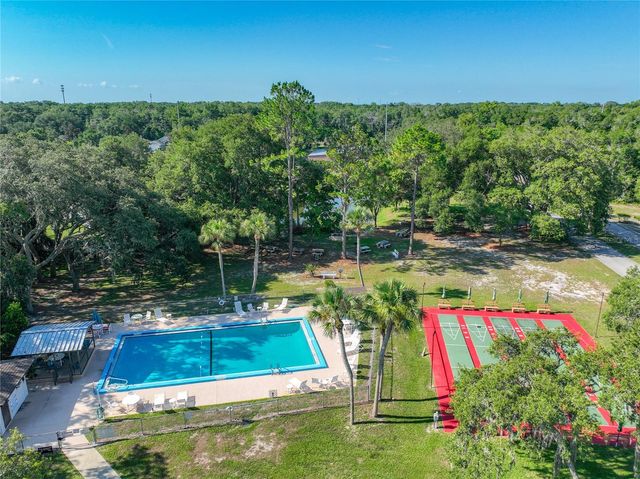 1925 BROOKSIDE DRIVE, Mount Dora, FL 32757