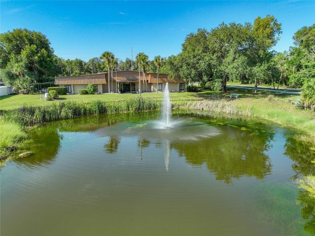 1925 BROOKSIDE DRIVE, Mount Dora, FL 32757