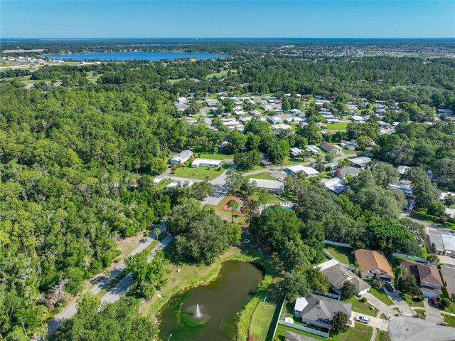 1925 BROOKSIDE DRIVE, Mount Dora, FL 32757
