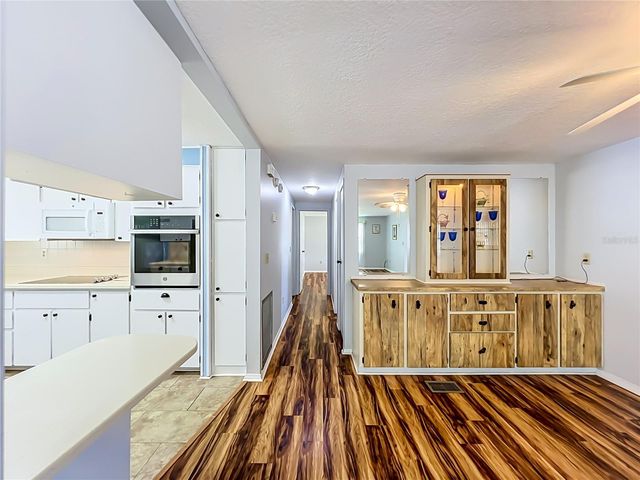 1925 BROOKSIDE DRIVE, Mount Dora, FL 32757