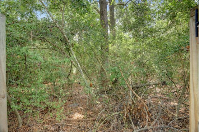 35 Tranquil Glade Place, The Woodlands, TX 77381