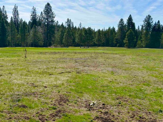 200 Brook Dr, Elk, WA 99009