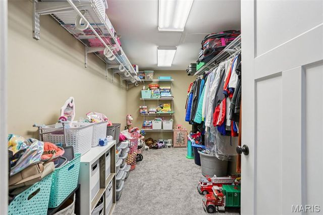 74 Horseshoe Lane, Litchfield, IL 62056