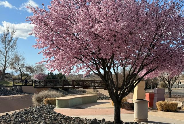 2334 Vista De Colinas Drive SE, Rio Rancho, NM 87124