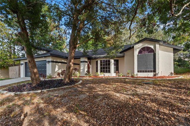 5432 BIRCHWOOD ROAD, Spring Hill, FL 34608