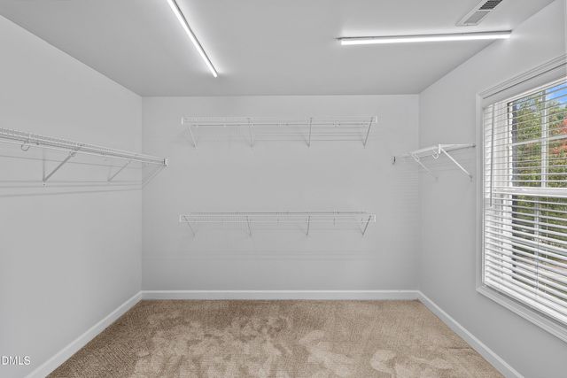 2800 Carriage Meadows Drive, Wake Forest, NC 27587