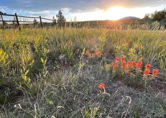 2364 Elkhorn Ranch Street, Parker, CO 80138