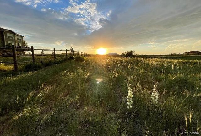 2364 Elkhorn Ranch Street, Parker, CO 80138
