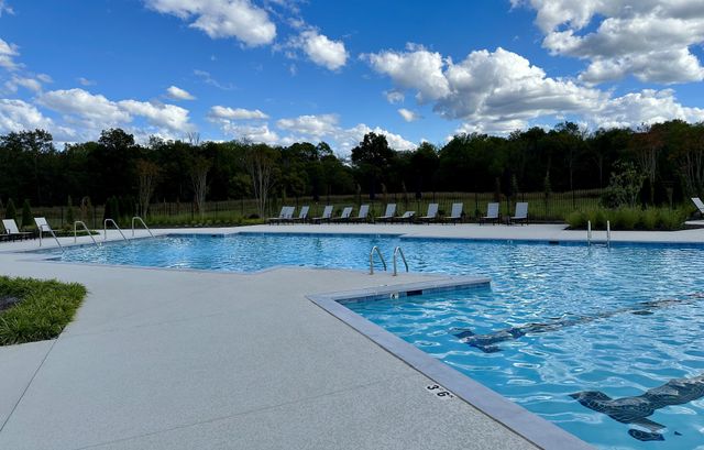 1021 Royal Gorge Pvt Ct, Gallatin, TN 37066