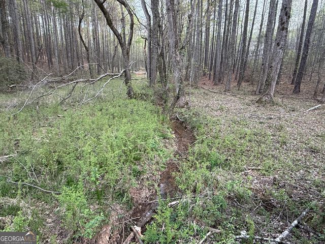 0 Henderson Mountain Road, Fairmount, GA 30139