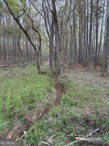 0 Henderson Mountain Road, Fairmount, GA 30139