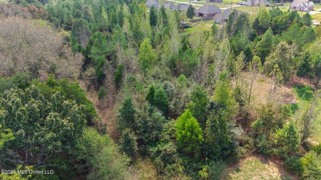 130 Fawn Trail, Coldwater, MS 38618