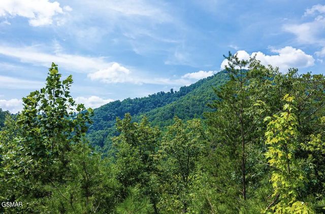 3152 Hatcher Top Road, Sevierville, TN 37862