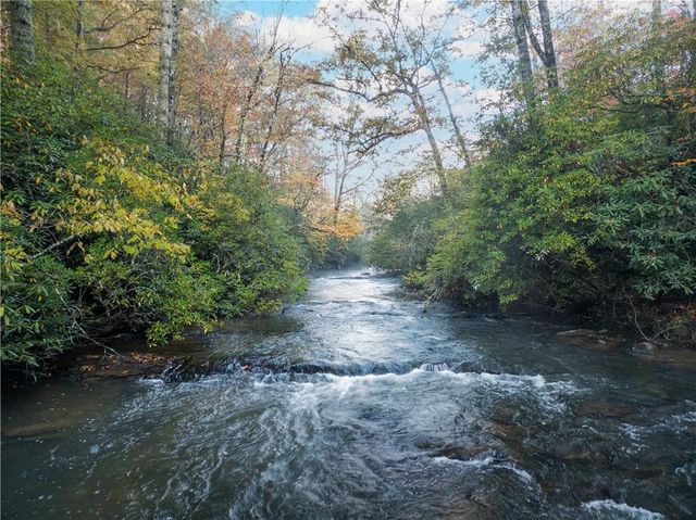 27 Riverview Lane, Cherry Log, GA 30522