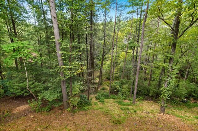 27 Riverview Lane, Cherry Log, GA 30522