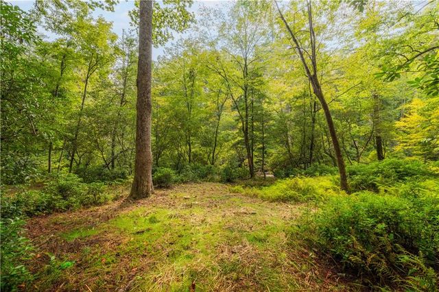 27 Riverview Lane, Cherry Log, GA 30522