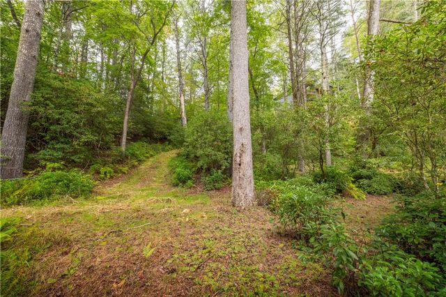 27 Riverview Lane, Cherry Log, GA 30522