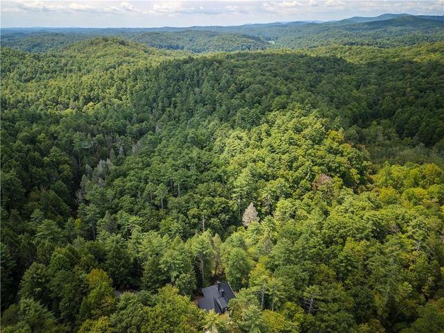 27 Riverview Lane, Cherry Log, GA 30522