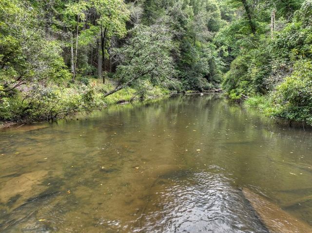 27 Riverview Lane, Cherry Log, GA 30522