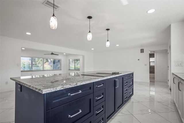 1042 IDLEWILD DRIVE N, Dunedin, FL 34698