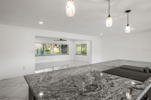 1042 IDLEWILD DRIVE N, Dunedin, FL 34698