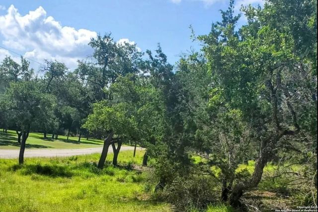 12033 Summer Meadows, Spring Branch, TX 78070