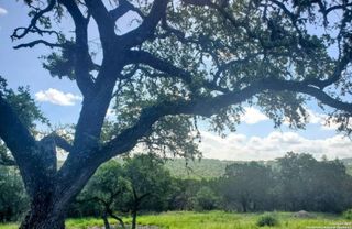 12033 Summer Meadows, Spring Branch, TX 78070