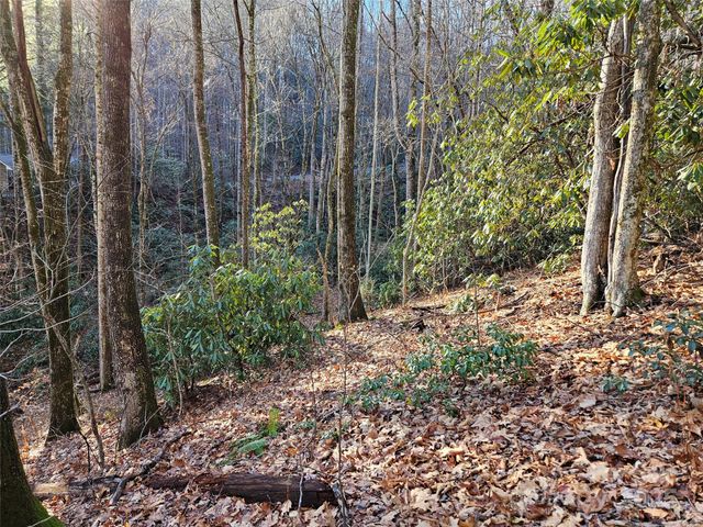 000 Serenity Drive 27, Waynesville, NC 28785
