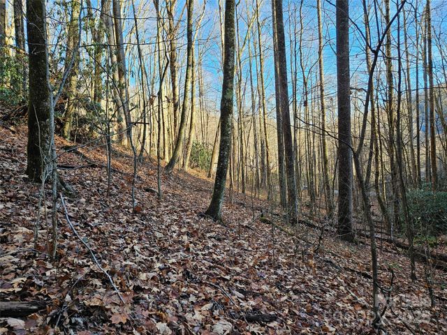 000 Serenity Drive 27, Waynesville, NC 28785