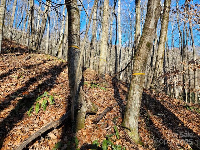 000 Serenity Drive 27, Waynesville, NC 28785