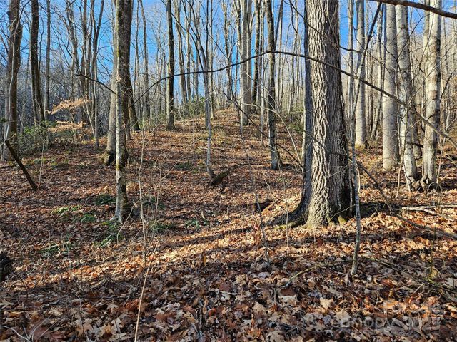 000 Serenity Drive 27, Waynesville, NC 28785