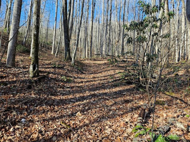 000 Serenity Drive 27, Waynesville, NC 28785