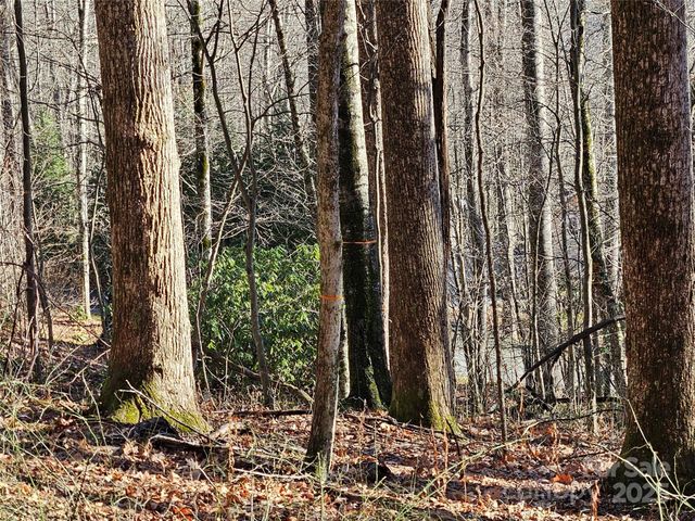 000 Serenity Drive 27, Waynesville, NC 28785