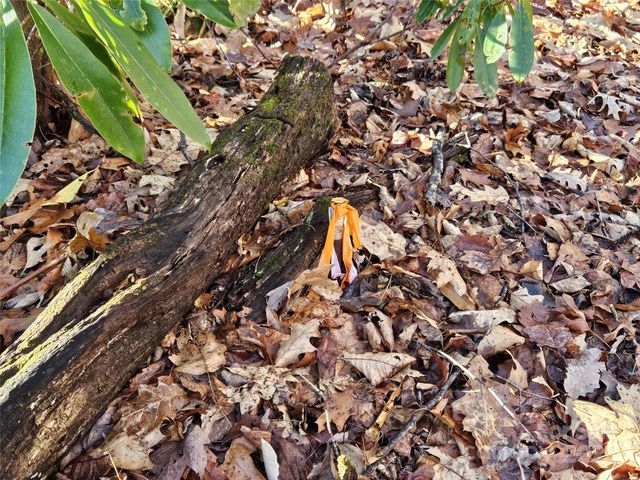 000 Serenity Drive 27, Waynesville, NC 28785