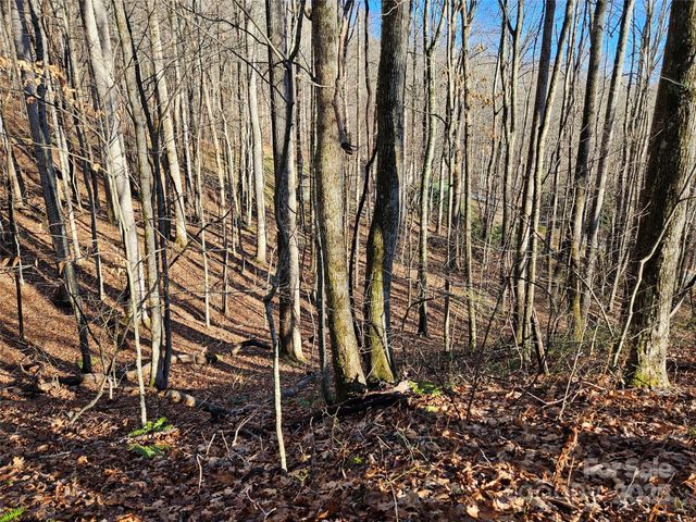 000 Serenity Drive 27, Waynesville, NC 28785