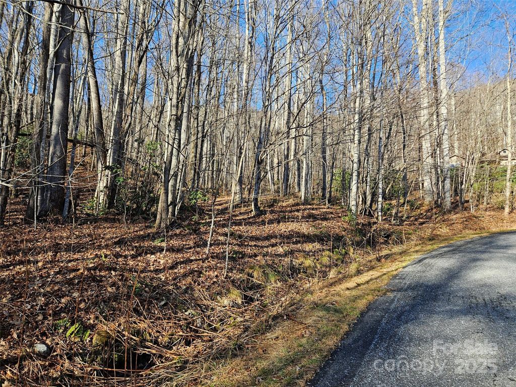 000 Serenity Drive 27, Waynesville, NC 28785