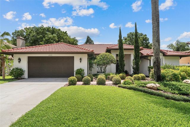12909 CINNIMON PLACE, Tampa, FL 33624