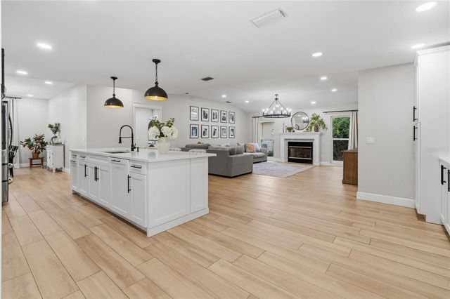 12909 CINNIMON PLACE, Tampa, FL 33624